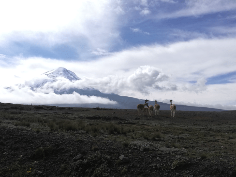 Il Chimborazo